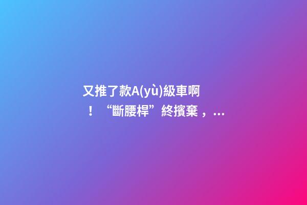 又推了款A(yù)級車??！“斷腰桿”終擯棄，現(xiàn)代這款很帥的三廂或8萬起？